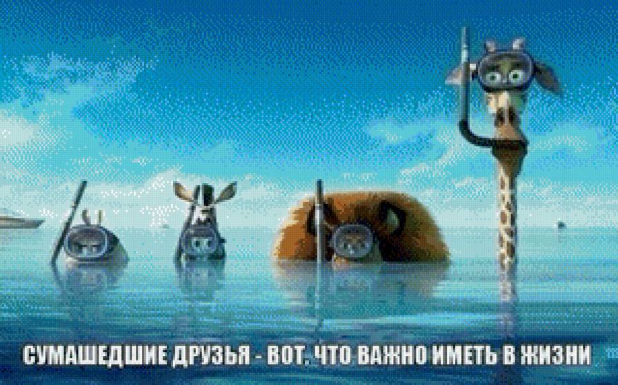 друзья - предпросмотр