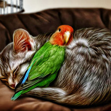 Схема вышивки «согреть друга»