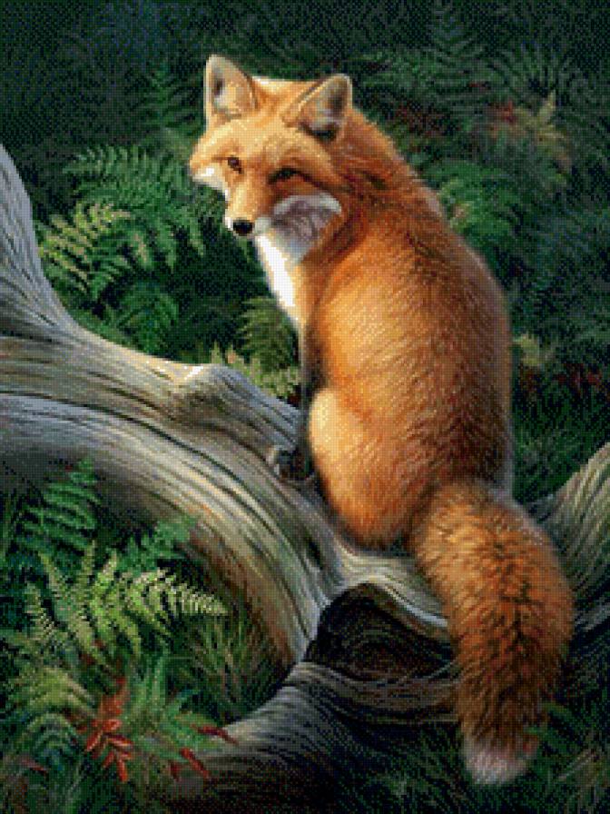 рыжая красотка - бревно, папоротник, лес, природа, живопись, лиса, дерево - предпросмотр