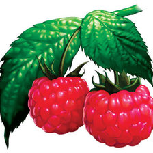 Схема вышивки «№472789»