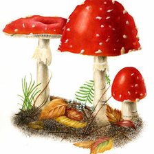 Схема вышивки «№472790»