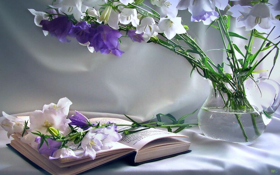 Натюрморт - цветы, колокольчики, натюрморт - оригинал