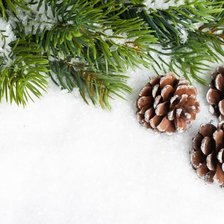 Схема вышивки «№473016»