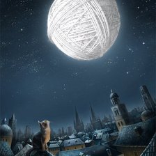 кошка на крыше