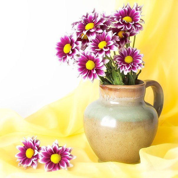 хризантемы - оригинал