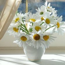 Схема вышивки «ромашки»