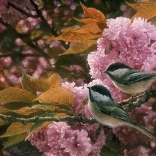 Схема вышивки «0156»