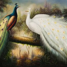 Схема вышивки «0158»