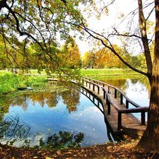 Схема вышивки «пруд»