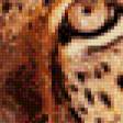 Предпросмотр схемы вышивки «Леопард» (№473402)