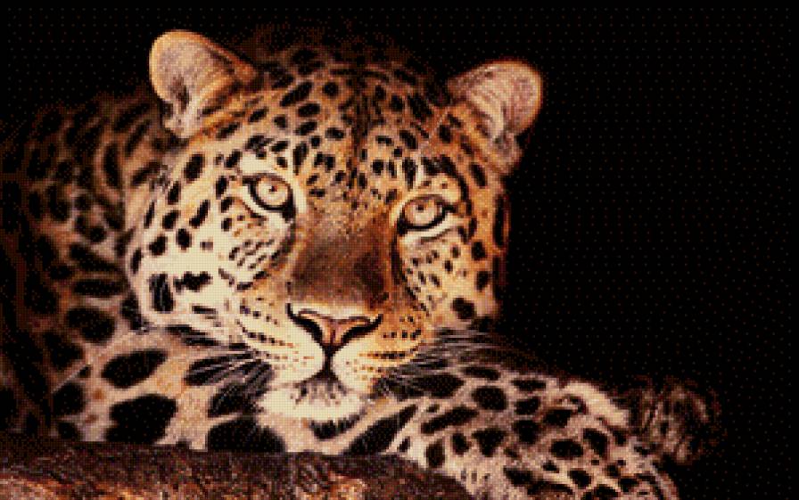 Леопард - животные, дикие кошки - предпросмотр