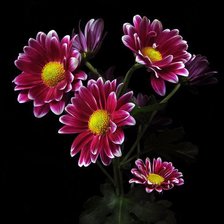 Схема вышивки «Цветы»