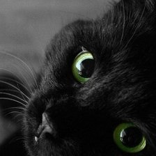 Схема вышивки «Чёрный кот»