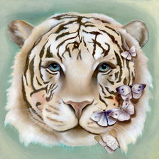 Схема вышивки «белый тигр»