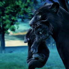 все мамы одинаковы