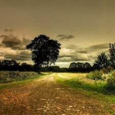 Схема вышивки «Дорога»