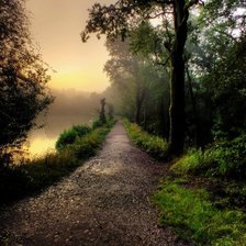 Схема вышивки «Дорога в лесу»