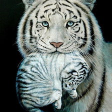 Схема вышивки «все мамы одинаковы»