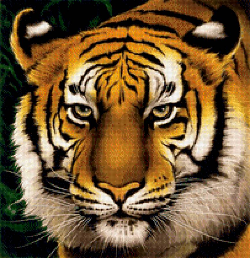 №473679 - предпросмотр