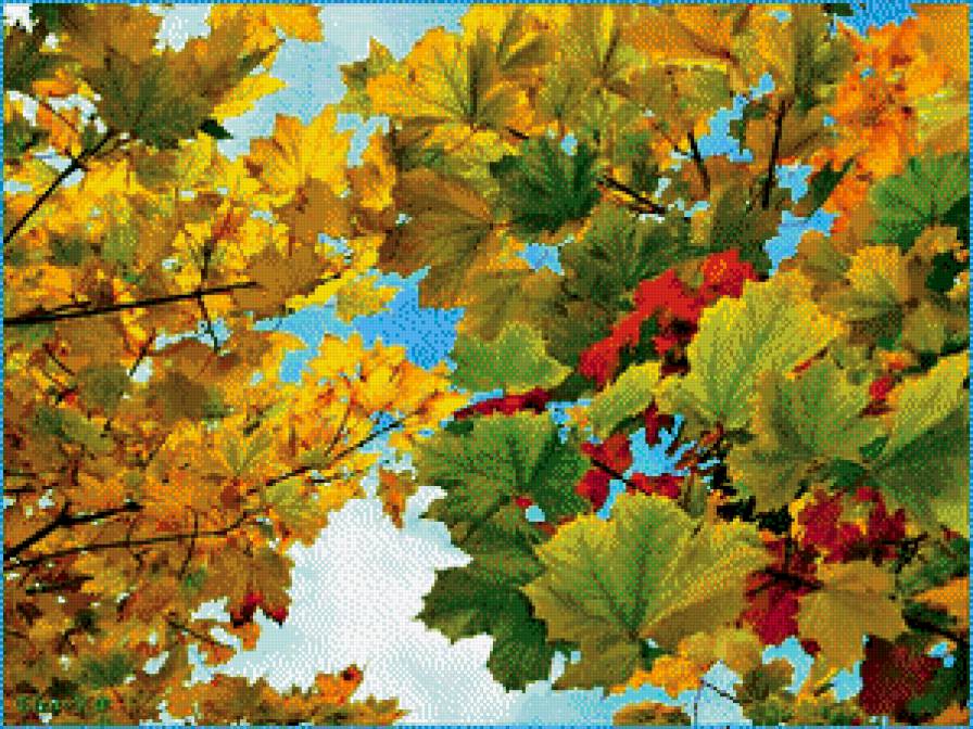 осень - осень, листья - предпросмотр