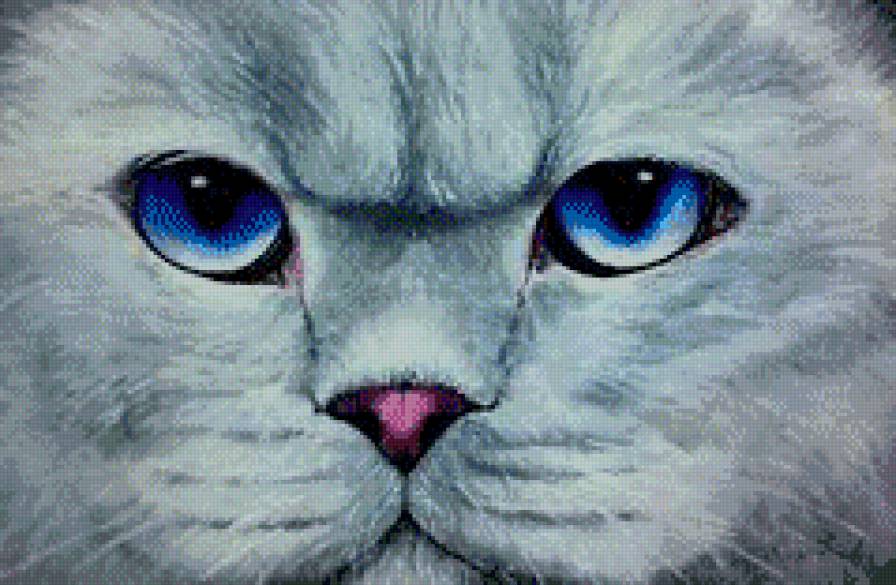 киса - домашние животные, кошки, киса, коты - предпросмотр