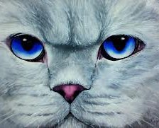 Схема вышивки «киса»