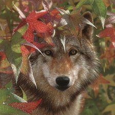 Схема вышивки «волк»