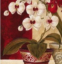 Схема вышивки «орх»