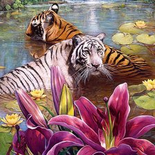 Схема вышивки «купание 2»