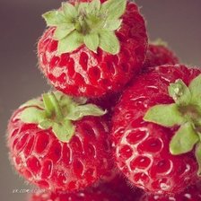 Схема вышивки «Клубничка»