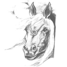 Схема вышивки «конь»