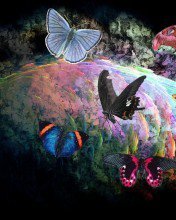 Схема вышивки «Бабочки»