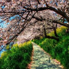 Схема вышивки «дорожка»