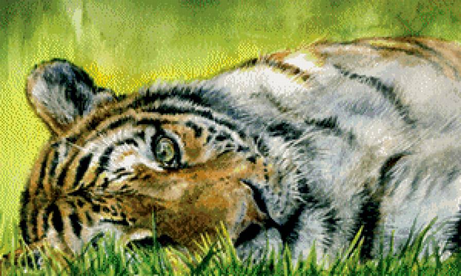 тигр - взгляд, хищник, живопись - предпросмотр