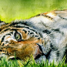 Схема вышивки «тигр»