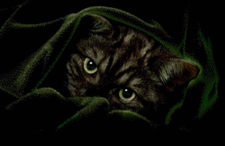 зеленый бархат - кошка, кот, глаза, взгляд - предпросмотр