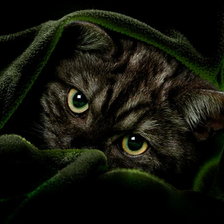 Схема вышивки «зеленый бархат»