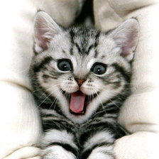 Схема вышивки «мы проснулись ...»