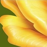 Схема вышивки «№474366»