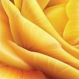 Схема вышивки «№474367»