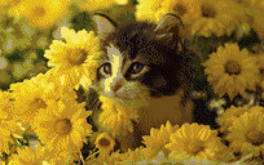 киска  в жёлтых цветах - кошки, животные - предпросмотр