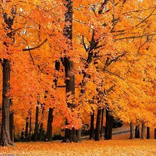 Схема вышивки «Осень»