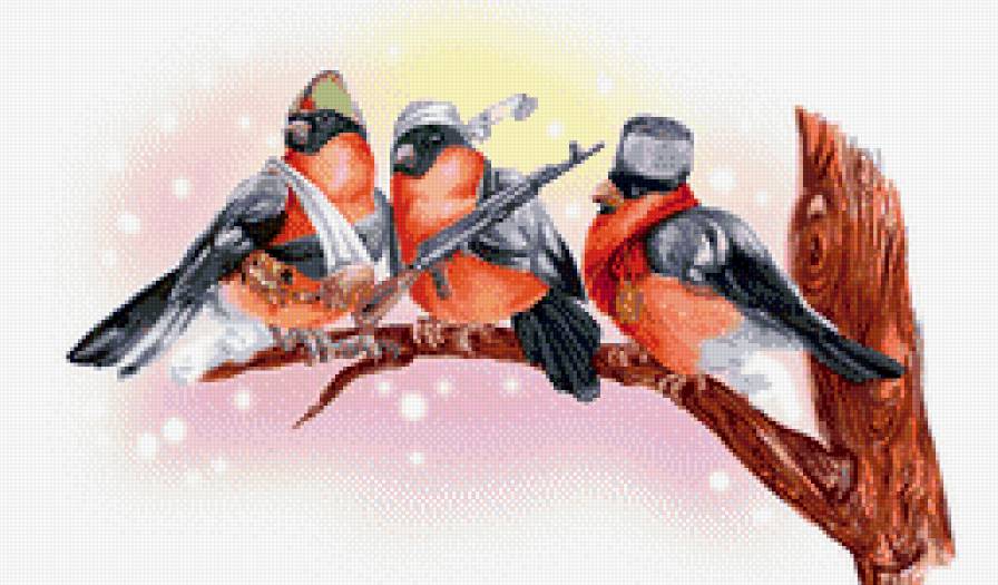 вояки снегири - юмор, природа, птицы, зима - предпросмотр