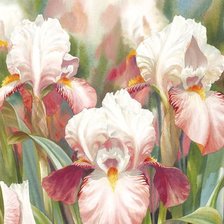 Схема вышивки «ирисы»