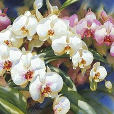 Схема вышивки «орхидеи»