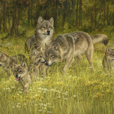 Схема вышивки «Волки»