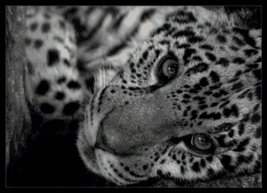 №474866 - предпросмотр