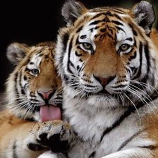 Схема вышивки «№474876»