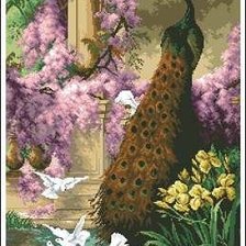 Схема вышивки «павлин»