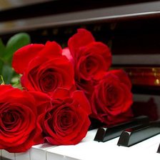 Схема вышивки «роза»